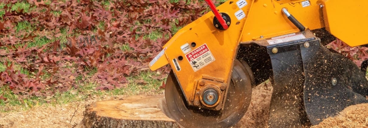 Brighter Image Stump Grinding Services