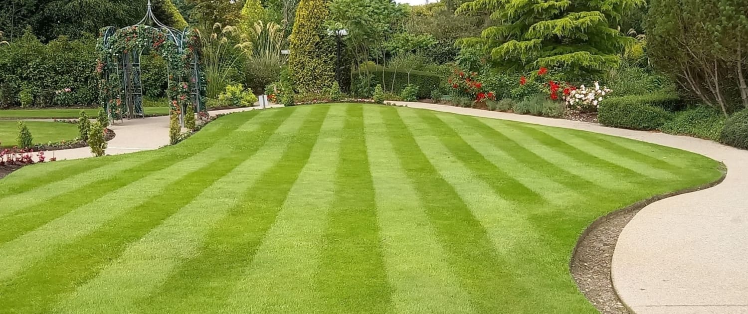 Lawn Care Services