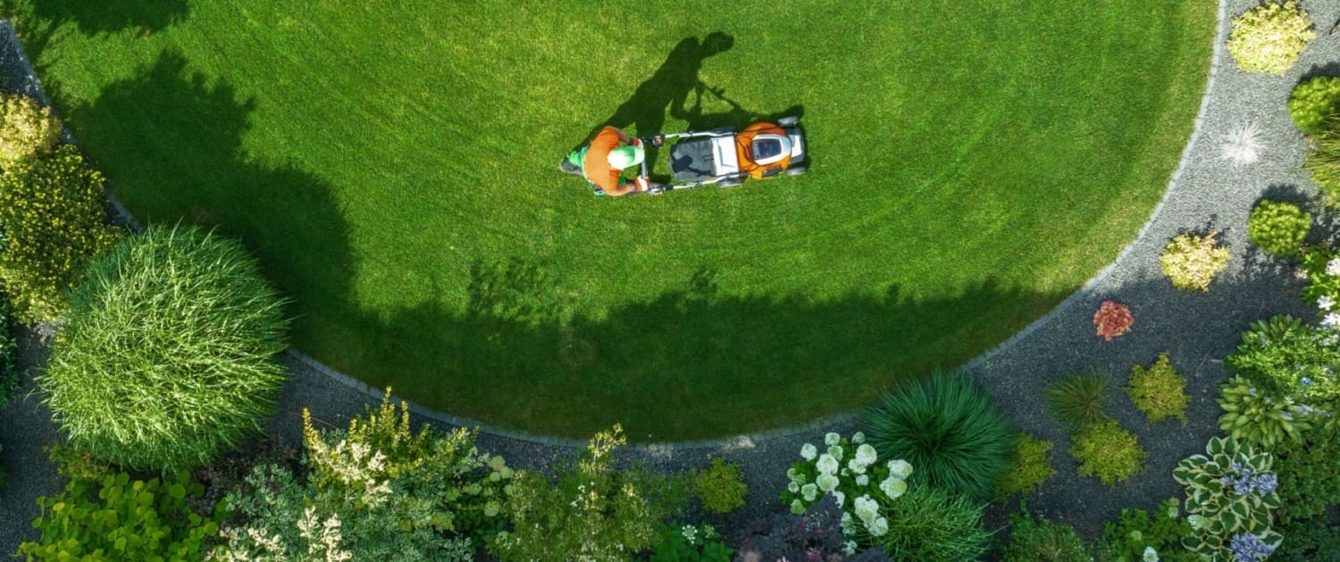 Lawn Care Services by Brighter Image Landscaping and Tree Services