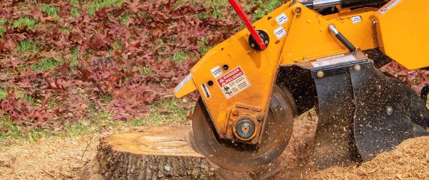 Stump Grinding Services by Brighter Image Landscaping