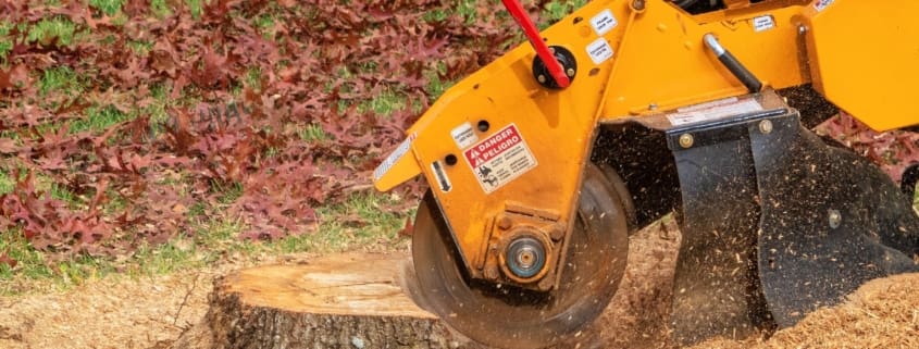 Stump Grinding Services by Brighter Image Landscaping